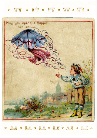 Illustration: Ernst Haeckel/Collection of John Holbo